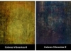 Colores Vibrantes 8 and 9-c19