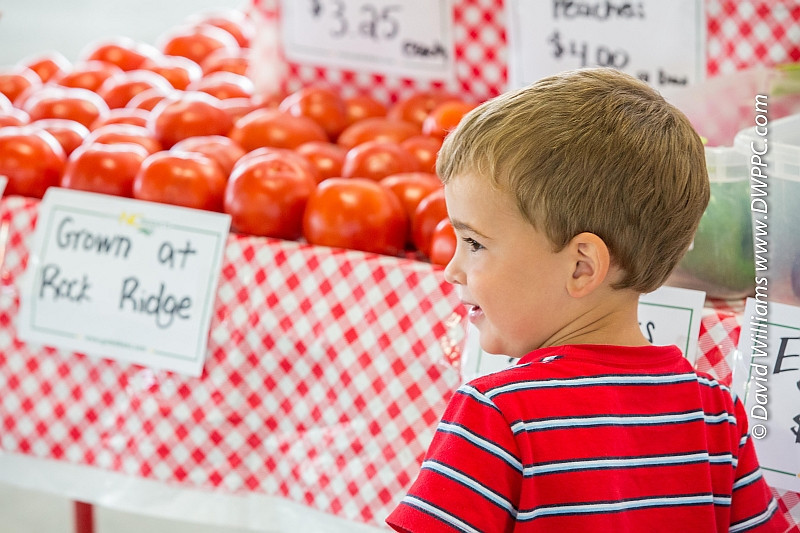 Wilson Farmers Market