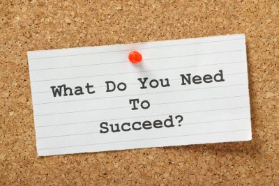 What Do You Need to Succeed?