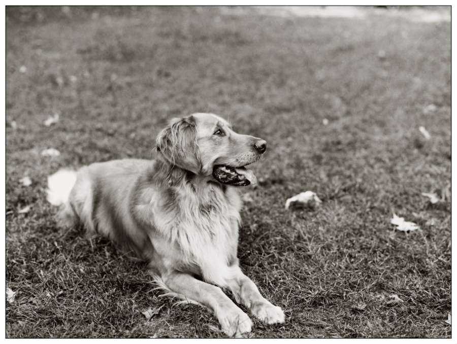 Tucker BW Film