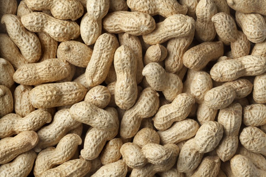 Shelled peanuts