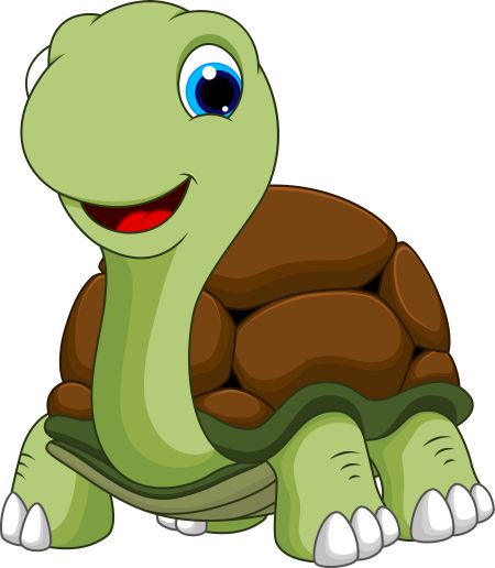 Turtle