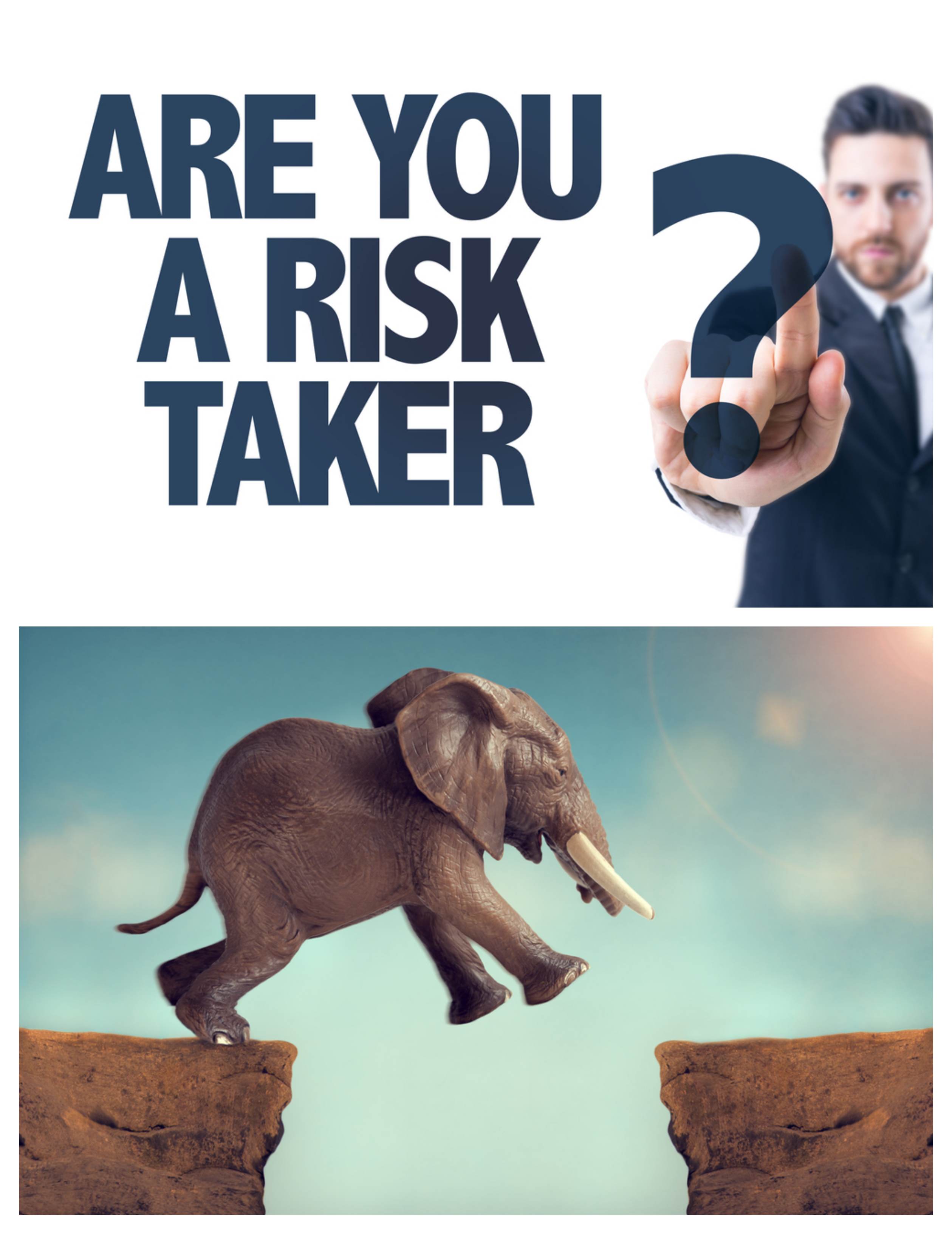 Risk Taker Elephant Jumping